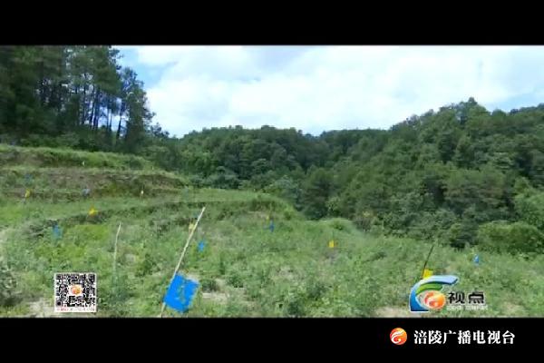 【视点】太极集团：拓宽“三变”改革之路 190304