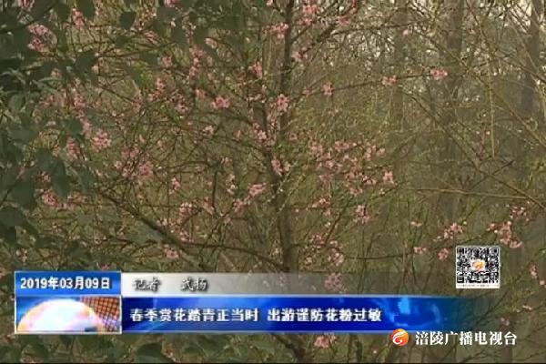 春季赏花踏青正当时 出游谨防花粉过敏