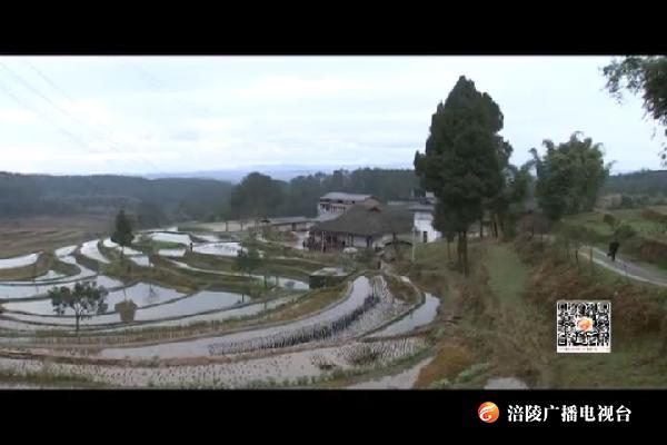 周波在蔺市镇蹲点“促改督战”