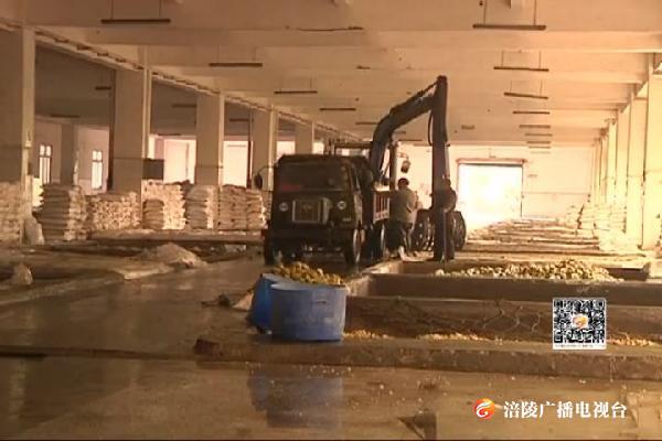 杜海波到辣妹子集团公司现场办公
