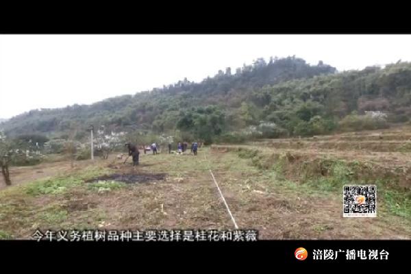 今年春季义务植树准备工作就绪
