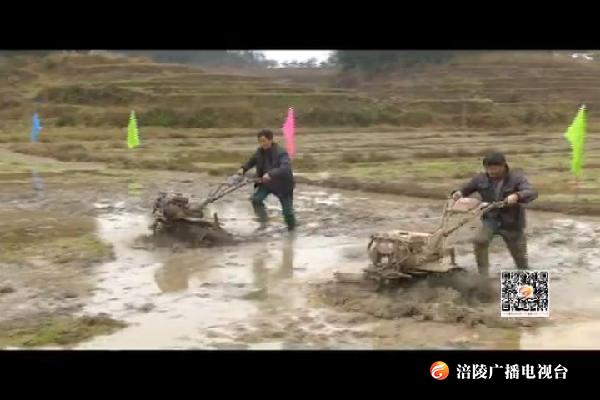 “二月二”龙抬头   欢乐民俗祈丰收