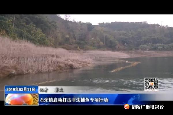 石沱镇启动打击非法捕鱼专项行动