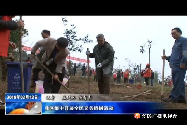 我区集中开展全民义务植树活动