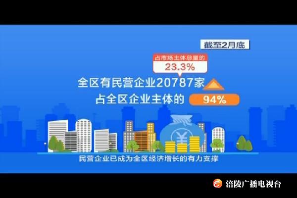 区人大常委会调研区政府民营企业发展法治环境工作情况