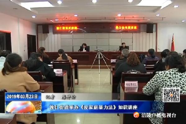 敦仁街道举办《反家庭暴力法》知识讲座