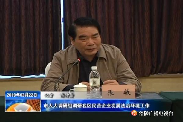 市人大调研组调研我区民营企业发展法治环境工作