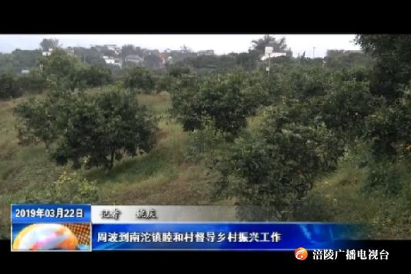 周波到南沱镇睦和村督导乡村振兴工作