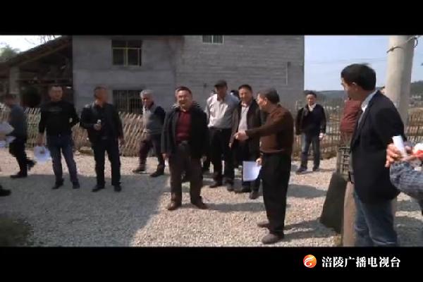 区人大常委会调研全区农村人居环境整治工作