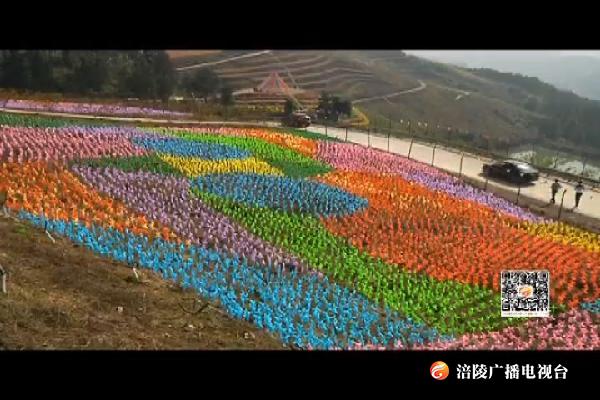 “风动黄草山 花漫十二居”风车文化节开幕