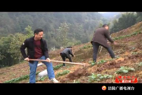 【精准脱贫进行时】 大山里的“春耕特攻队”