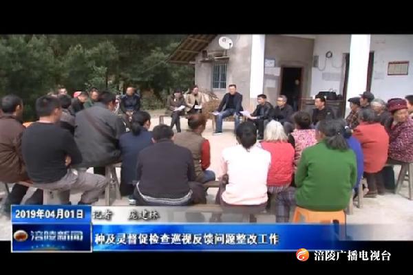 种及灵督促检查巡视反馈问题整改工作