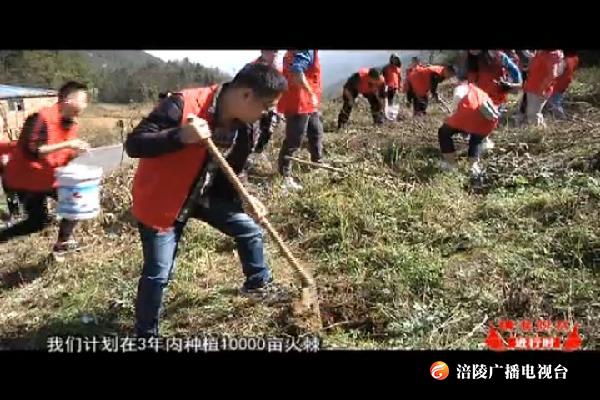 【精准脱贫进行时】大木“万亩火棘”旅游观光项目启动