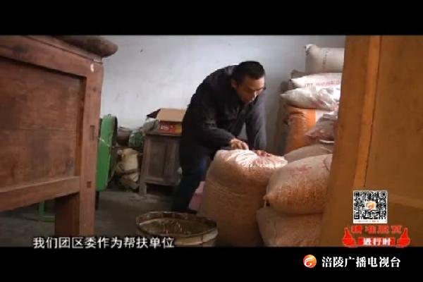 【精准脱贫进行时】王峰：幸福是奋斗出来的