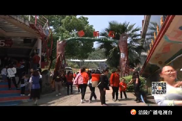 清明小长假：近郊游人气旺