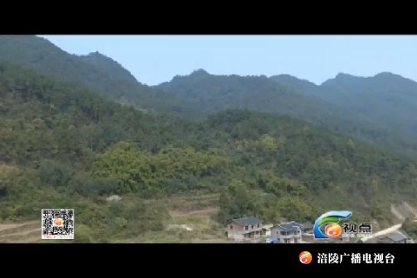 【视点】种下绿色   树起未来 190408