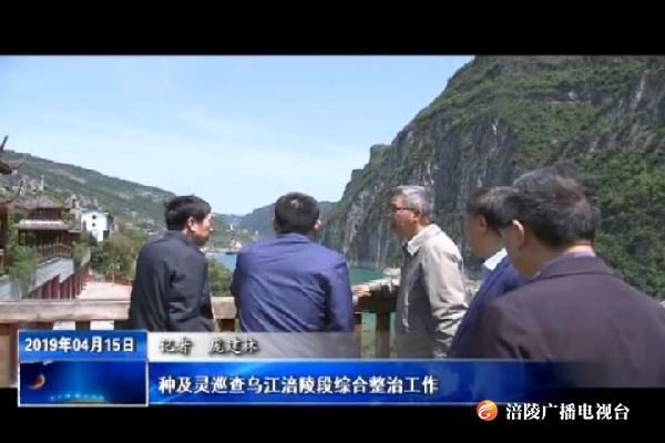 种及灵巡查乌江涪陵段综合整治工作