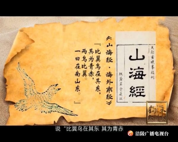 钩深微讲堂 ：比翼鸟是否真实存在