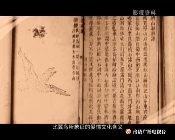 钩深微讲堂： 比翼鸟出自哪里