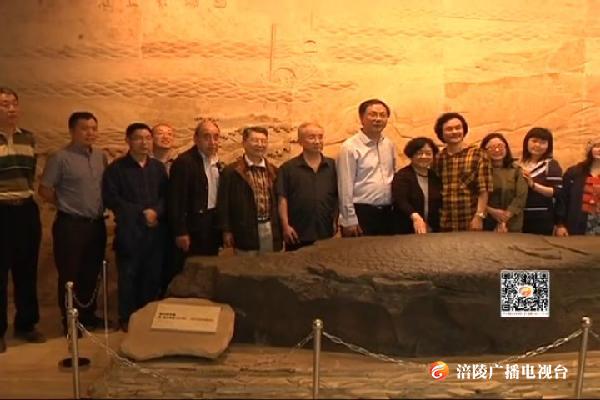 重庆作家诗人来我区采风