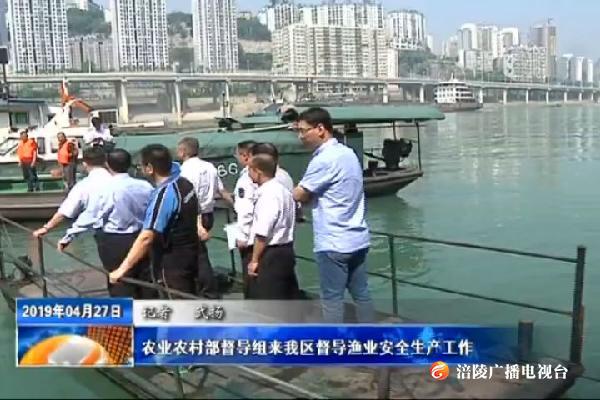 农业农村部督导组来我区督导渔业安全生产工作