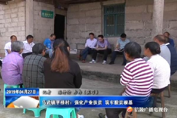 【把习近平总书记殷殷嘱托落实到重庆大地】马武镇平桥村：强化产业扶贫 筑牢脱贫根基
