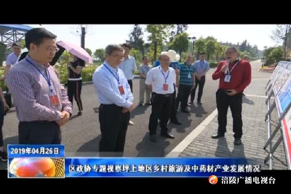 区政协专题视察坪上地区乡村旅游及中药材产业发展情况