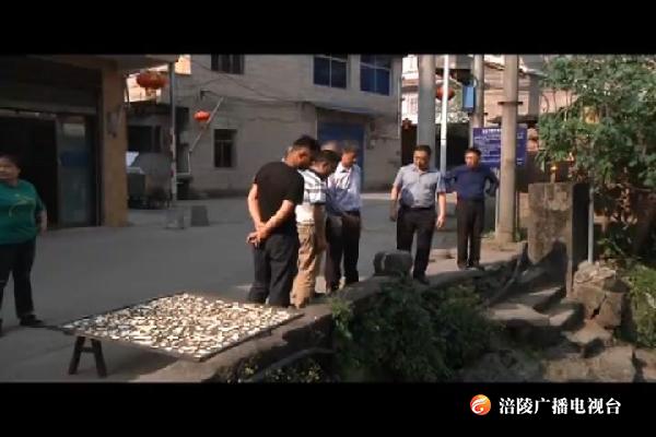 区领导到小溪河开展巡河工作