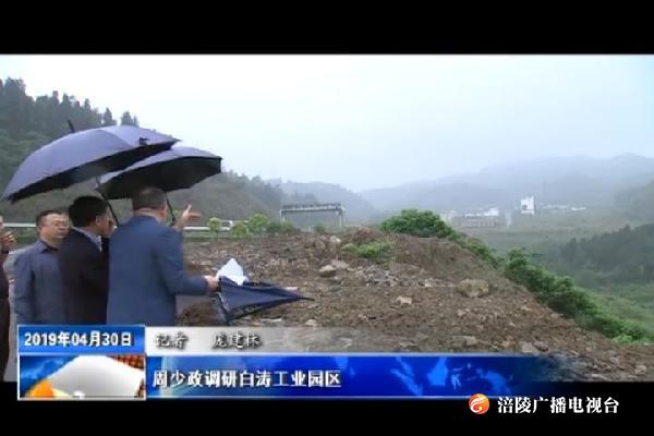 周少政调研白涛工业园区