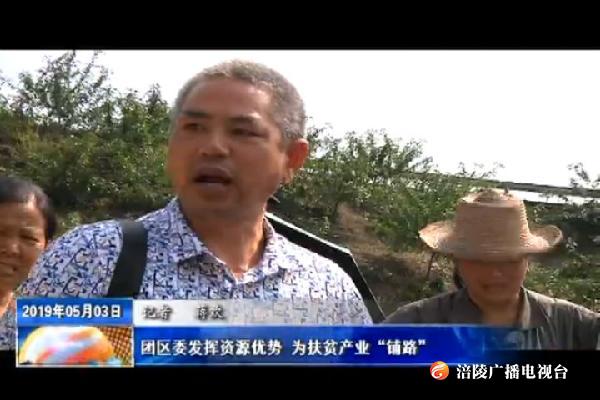 【把习近平总书记殷殷嘱托落实到重庆大地】团区委发挥资源优势 为扶贫产业“铺路”