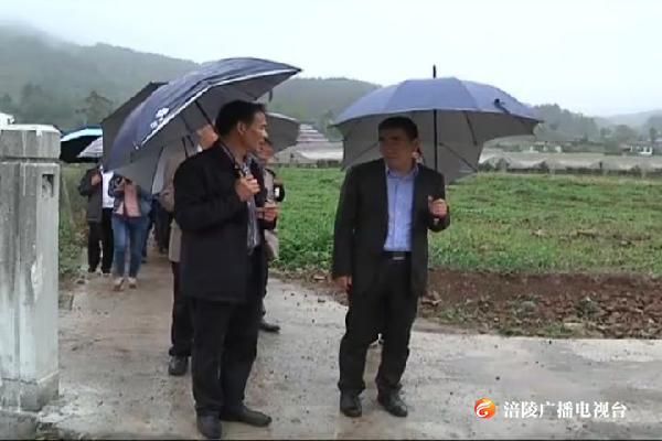 李景耀到青羊镇调研