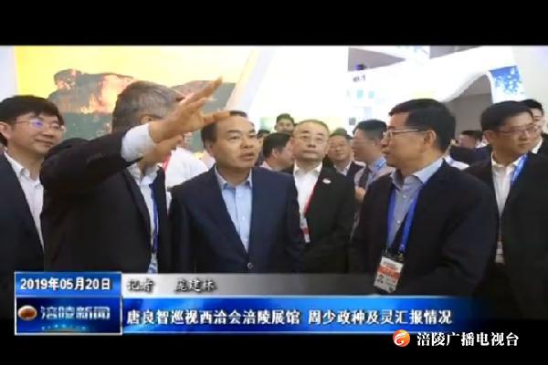唐良智巡视西洽会涪陵展馆 周少政种及灵汇报情况