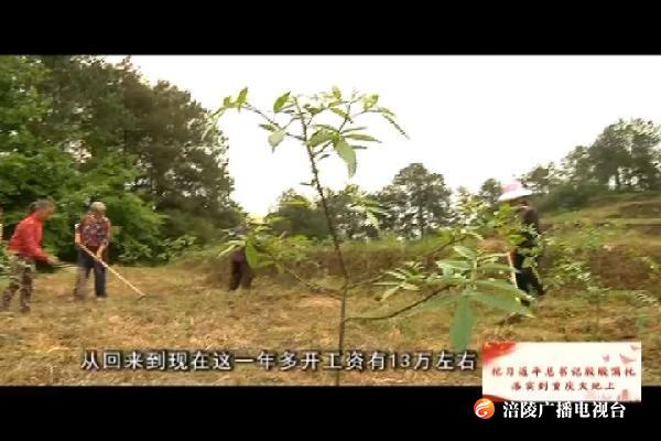 杨峰：返乡创业种花椒  带领乡亲鼓腰包