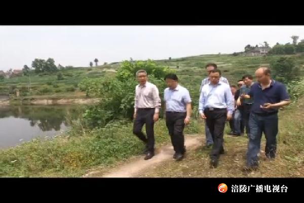 种及灵到义和镇调研