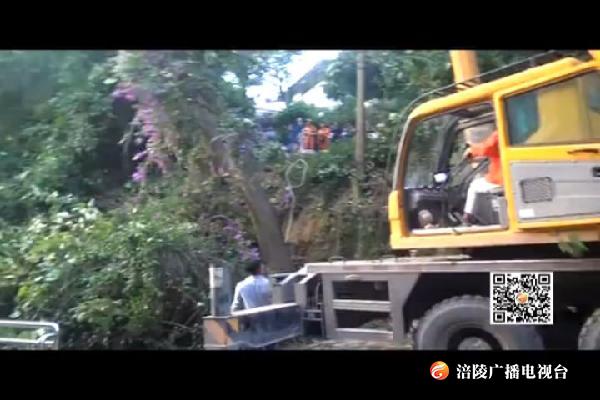 大树倾斜威胁居民房  消防悬空20米锯树除隐患