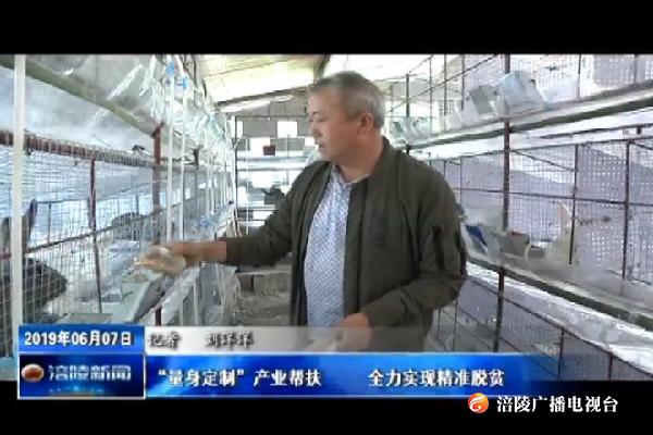【把习近平总书记殷殷嘱托落实到重庆大地】“量身定制”产业帮扶     全力实现精准脱贫