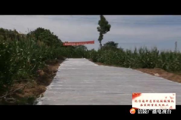 我区大力实施交通行动计划   三年建设“四好农村路”两千公里
