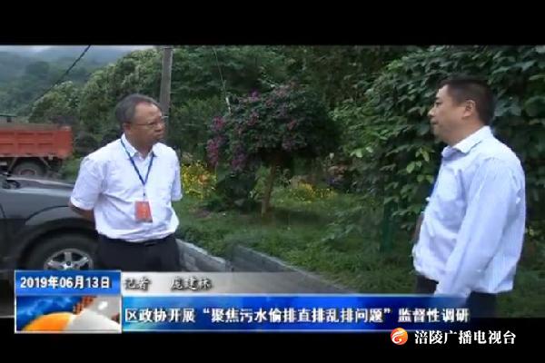 区政协开展“聚焦污水偷排直排乱排问题”监督性调研