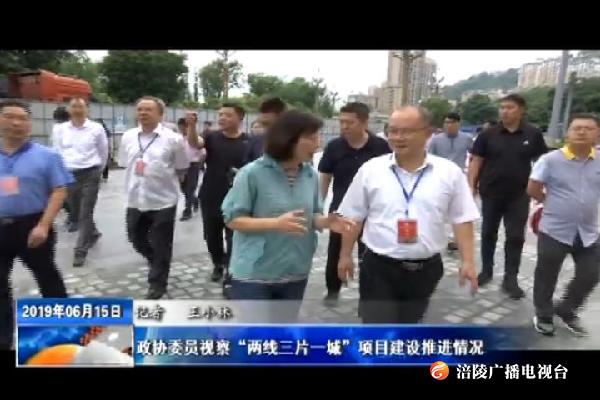 【推动“两线三片一城”项目建设步伐 全面提升涪陵城市品质形象】政协委员视察“两线三片一城”项目建设推进情况