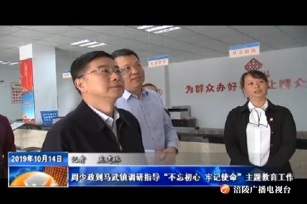 【不忘初心 牢记使命主题教育进行时】周少政到马武镇调研指导“不忘初心 牢记使命”主题教育工作