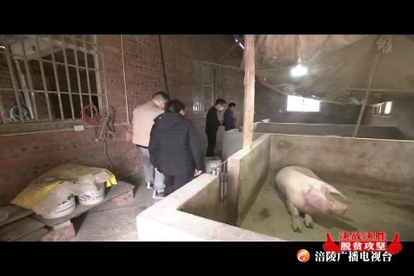 【决战决胜脱贫攻坚】清溪镇：精准帮扶促进脱贫攻坚