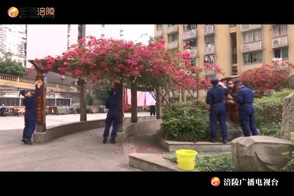 创文创卫：全民大扫除  共建清洁家园