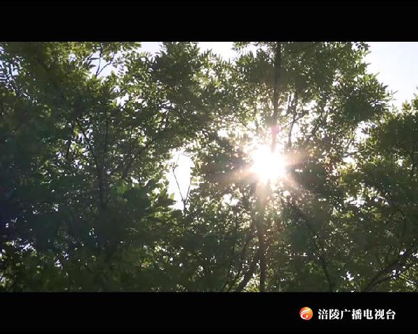人口普查.00_01_26_23.Still002