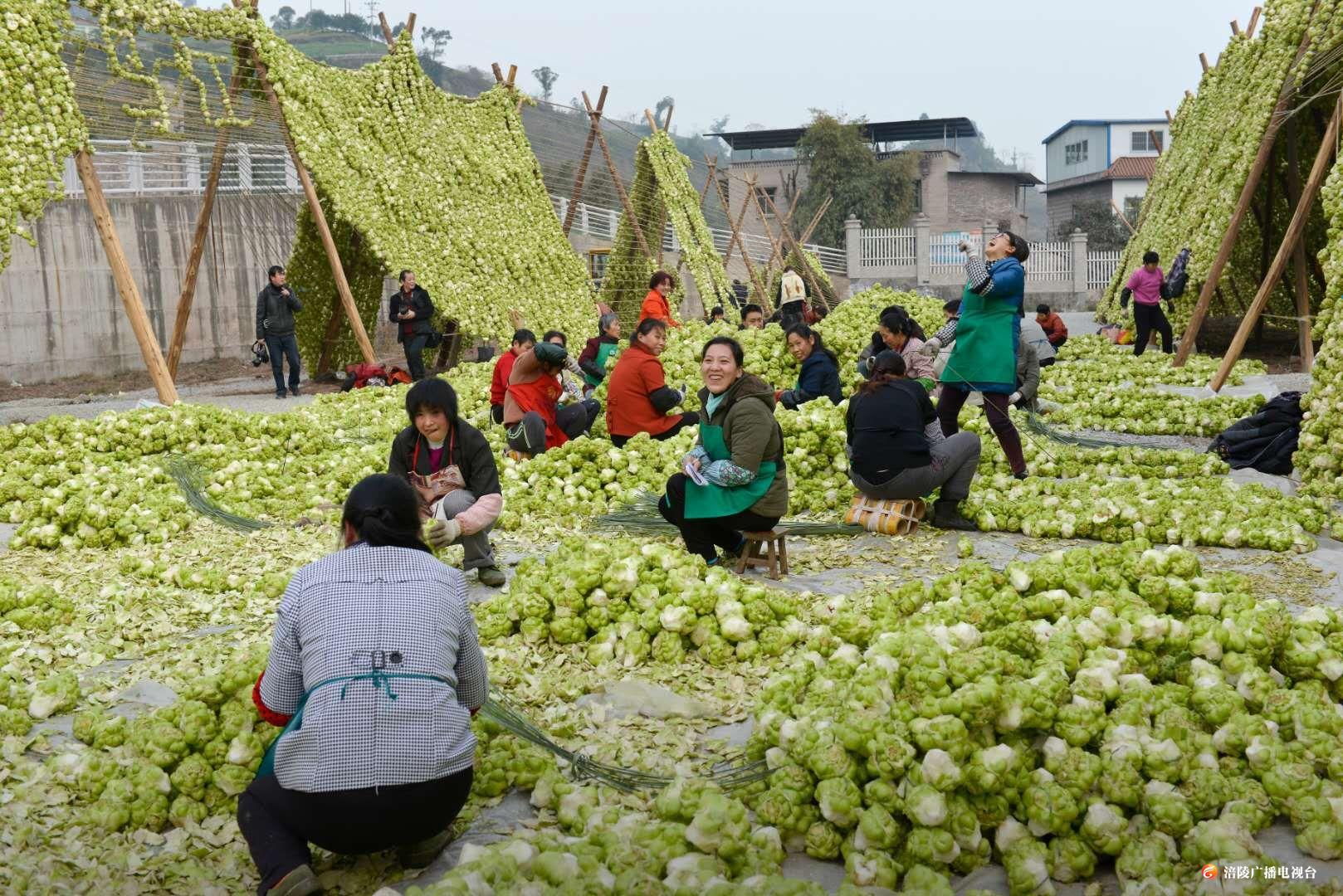 QQ图片20200806143619