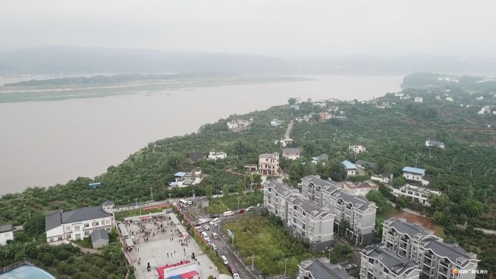 龙眼2