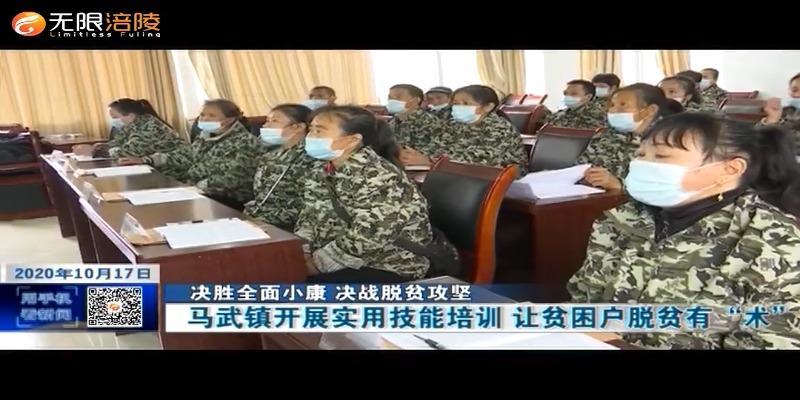 【决胜全面小康 决战脱贫攻坚】马武镇开展实用技能培训 让贫困户脱贫有“术”