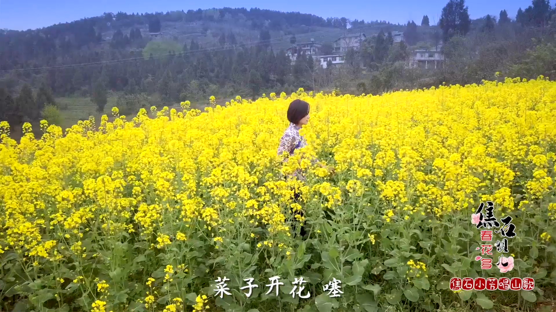 焦石山歌（审）.mp4.00_00_24_05.静止006