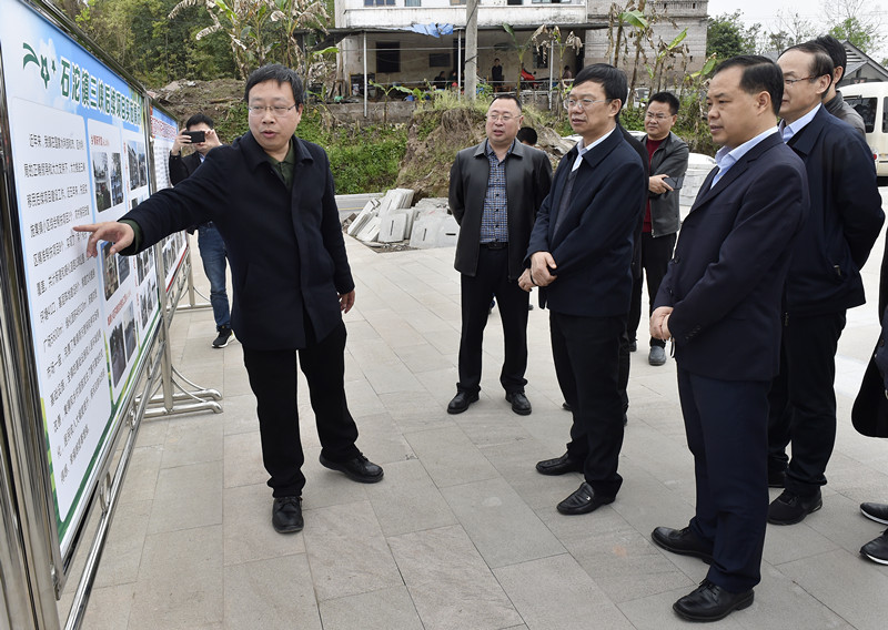 水利部三峡司司长罗元华（前排右二）等调研石沱镇集镇移民综合帮扶项目实施情况  记者 朱志强 摄_副本
