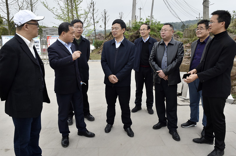 水利部三峡司司长罗元华（右五）等调研石沱镇集镇移民综合帮扶项目实施情况  记者 朱志强 摄_副本