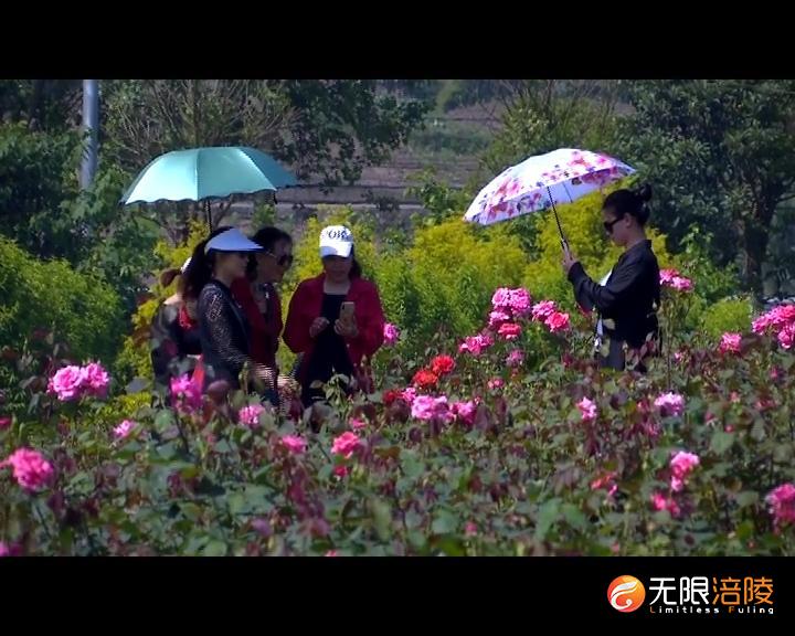 旅游盘点2.mov.00_00_42_07.静止007